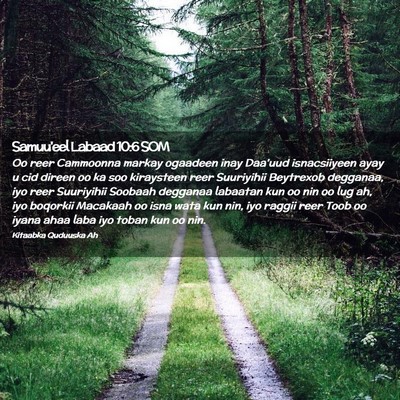 Picture 02 - Samuu'eel Labaad 10:6 SOM - Oo reer Cammoonna markay ogaadeen inay Daa'uud - Bible Verse Picture