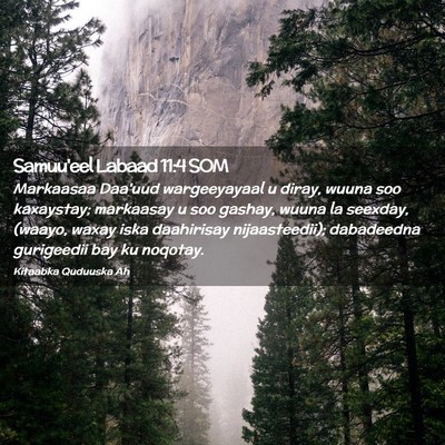 Picture 02 - Samuu'eel Labaad 11:4 SOM - Markaasaa Daa'uud wargeeyayaal u diray, wuuna soo - Bible Verse Picture