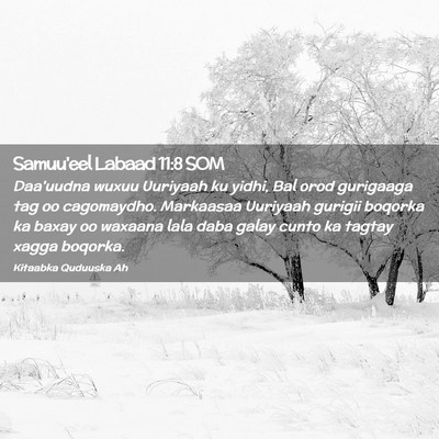 Picture 02 - Samuu'eel Labaad 11:8 SOM - Daa'uudna wuxuu Uuriyaah ku yidhi, Bal orod - Bible Verse Picture