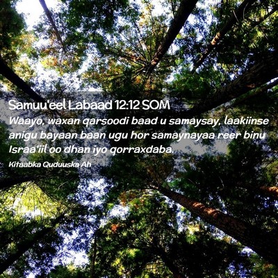 Picture 02 - Samuu'eel Labaad 12:12 SOM - Waayo, waxan qarsoodi baad u samaysay, laakiinse - Bible Verse Picture