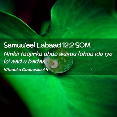 Picture 02 - Samuu'eel Labaad 12:2 SOM - Ninkii taajirka ahaa wuxuu lahaa ido iyo lo' aad - Bible Verse Picture