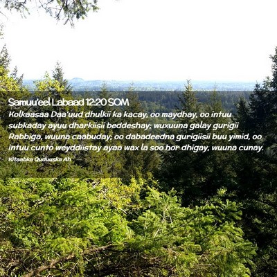 Picture 02 - Samuu'eel Labaad 12:20 SOM - Kolkaasaa Daa'uud dhulkii ka kacay, oo maydhay, - Bible Verse Picture