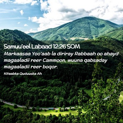 Picture 02 - Samuu'eel Labaad 12:26 SOM - Markaasaa Yoo'aab la diriray Rabbaah oo ahayd - Bible Verse Picture