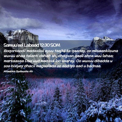 Picture 02 - Samuu'eel Labaad 12:30 SOM - Boqorkoodii madaxiisii ayuu taajkii ka qaaday, oo - Bible Verse Picture