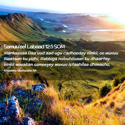 Picture 02 - Samuu'eel Labaad 12:5 SOM - Markaasaa Daa'uud aad ugu cadhooday ninkii; oo - Bible Verse Picture