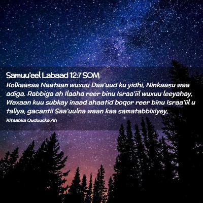Picture 02 - Samuu'eel Labaad 12:7 SOM - Kolkaasaa Naataan wuxuu Daa'uud ku yidhi, - Bible Verse Picture