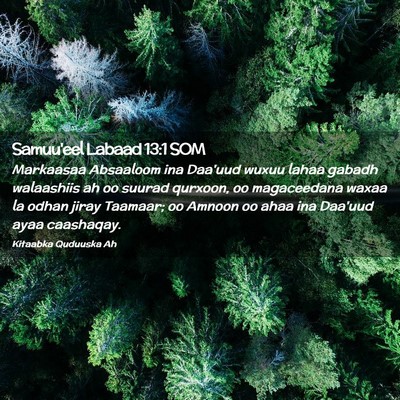 Picture 02 - Samuu'eel Labaad 13:1 SOM - Markaasaa Absaaloom ina Daa'uud wuxuu lahaa - Bible Verse Picture