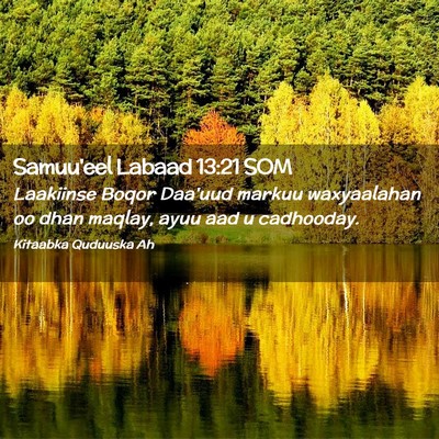 Picture 02 - Samuu'eel Labaad 13:21 SOM - Laakiinse Boqor Daa'uud markuu waxyaalahan oo - Bible Verse Picture
