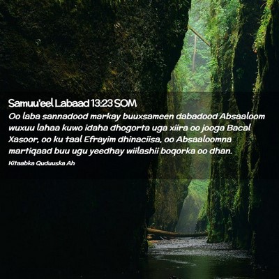 Picture 02 - Samuu'eel Labaad 13:23 SOM - Oo laba sannadood markay buuxsameen dabadood - Bible Verse Picture