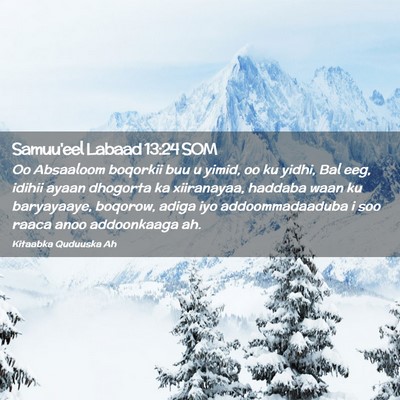Picture 02 - Samuu'eel Labaad 13:24 SOM - Oo Absaaloom boqorkii buu u yimid, oo ku yidhi, - Bible Verse Picture