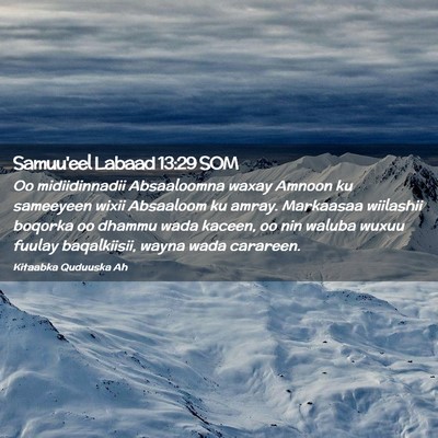 Picture 02 - Samuu'eel Labaad 13:29 SOM - Oo midiidinnadii Absaaloomna waxay Amnoon ku - Bible Verse Picture