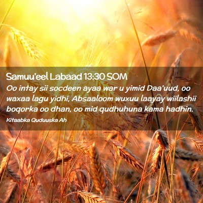 Picture 02 - Samuu'eel Labaad 13:30 SOM - Oo intay sii socdeen ayaa war u yimid Daa'uud, oo - Bible Verse Picture