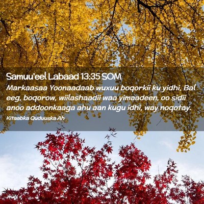 Picture 02 - Samuu'eel Labaad 13:35 SOM - Markaasaa Yoonaadaab wuxuu boqorkii ku yidhi, Bal - Bible Verse Picture