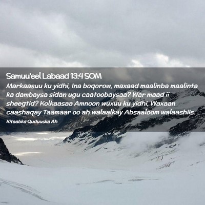 Picture 02 - Samuu'eel Labaad 13:4 SOM - Markaasuu ku yidhi, Ina boqorow, maxaad maalinba - Bible Verse Picture