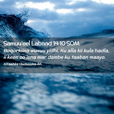 Picture 02 - Samuu'eel Labaad 14:10 SOM - Boqorkiina wuxuu yidhi, Ku alla kii kula hadla, - Bible Verse Picture