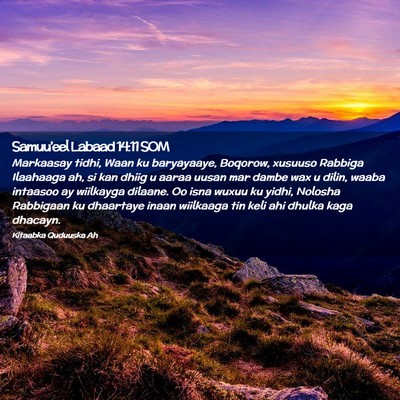 Picture 02 - Samuu'eel Labaad 14:11 SOM - Markaasay tidhi, Waan ku baryayaaye, Boqorow, - Bible Verse Picture