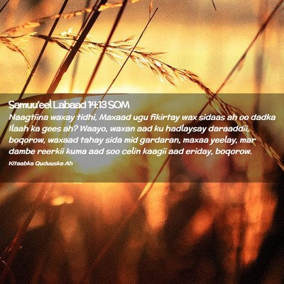Picture 02 - Samuu'eel Labaad 14:13 SOM - Naagtiina waxay tidhi, Maxaad ugu fikirtay wax - Bible Verse Picture