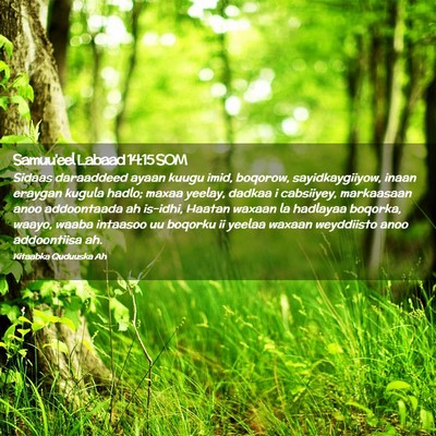 Picture 02 - Samuu'eel Labaad 14:15 SOM - Sidaas daraaddeed ayaan kuugu imid, boqorow, - Bible Verse Picture