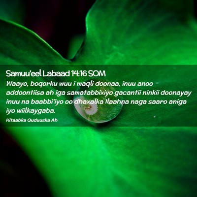 Picture 02 - Samuu'eel Labaad 14:16 SOM - Waayo, boqorku wuu i maqli doonaa, inuu anoo - Bible Verse Picture