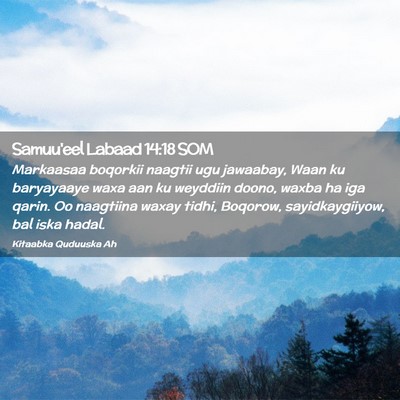 Picture 02 - Samuu'eel Labaad 14:18 SOM - Markaasaa boqorkii naagtii ugu jawaabay, Waan ku - Bible Verse Picture
