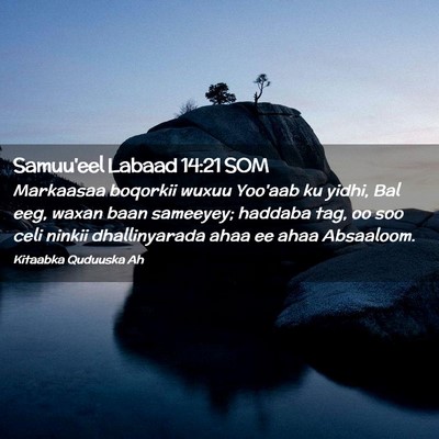 Picture 02 - Samuu'eel Labaad 14:21 SOM - Markaasaa boqorkii wuxuu Yoo'aab ku yidhi, Bal - Bible Verse Picture