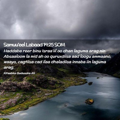 Picture 02 - Samuu'eel Labaad 14:25 SOM - Haddaba reer binu Israa'iil oo dhan laguma arag - Bible Verse Picture