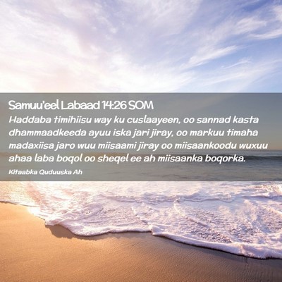Picture 02 - Samuu'eel Labaad 14:26 SOM - Haddaba timihiisu way ku cuslaayeen, oo sannad - Bible Verse Picture