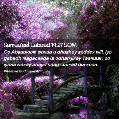 Picture 02 - Samuu'eel Labaad 14:27 SOM - Oo Absaaloom waxaa u dhashay saddex wiil, iyo - Bible Verse Picture