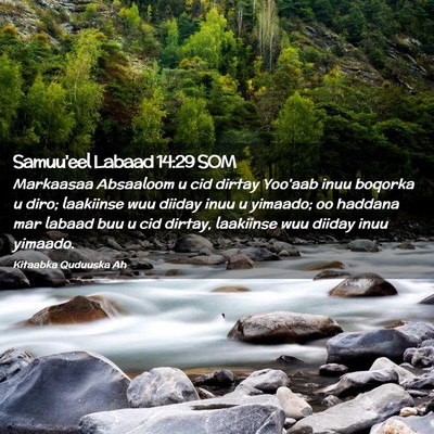 Picture 02 - Samuu'eel Labaad 14:29 SOM - Markaasaa Absaaloom u cid dirtay Yoo'aab inuu - Bible Verse Picture