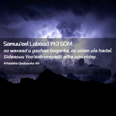 Picture 02 - Samuu'eel Labaad 14:3 SOM - oo waxaad u gashaa boqorka, oo sidan ula hadal. - Bible Verse Picture