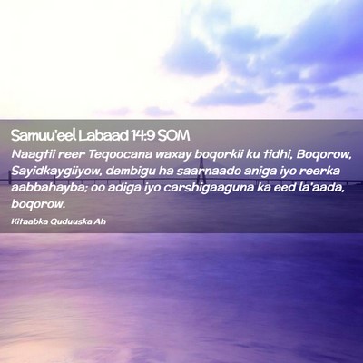 Picture 02 - Samuu'eel Labaad 14:9 SOM - Naagtii reer Teqoocana waxay boqorkii ku tidhi, - Bible Verse Picture