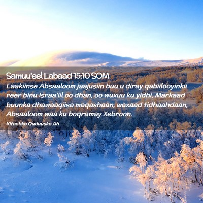 Picture 02 - Samuu'eel Labaad 15:10 SOM - Laakiinse Absaaloom jaajusiin buu u diray - Bible Verse Picture