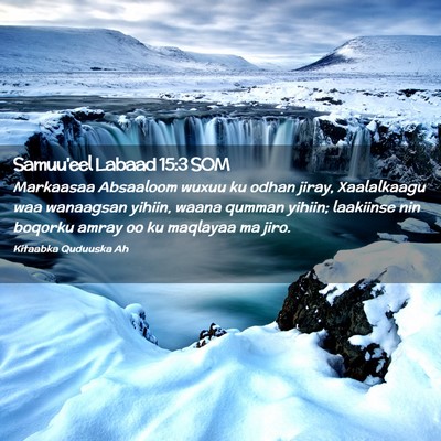 Picture 02 - Samuu'eel Labaad 15:3 SOM - Markaasaa Absaaloom wuxuu ku odhan jiray, - Bible Verse Picture