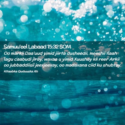 Picture 02 - Samuu'eel Labaad 15:32 SOM - Oo markii Daa'uud yimid jiirta dusheedii, meeshii - Bible Verse Picture