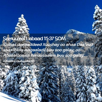 Picture 02 - Samuu'eel Labaad 15:37 SOM - Sidaas daraaddeed Xuushay oo ahaa Daa'uud - Bible Verse Picture