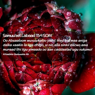 Picture 02 - Samuu'eel Labaad 15:4 SOM - Oo Absaaloom wuxuu kaloo yidhi, Way, bal maa - Bible Verse Picture