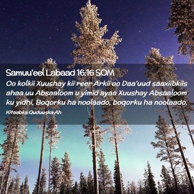 Picture 02 - Samuu'eel Labaad 16:16 SOM - Oo kolkii Xuushay kii reer Arkii oo Daa'uud - Bible Verse Picture