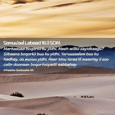 Picture 02 - Samuu'eel Labaad 16:3 SOM - Markaasaa boqorkii ku yidhi, Meeh wiilkii - Bible Verse Picture