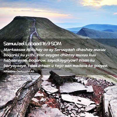 Picture 02 - Samuu'eel Labaad 16:9 SOM - Markaasaa Abiishay oo ay Seruuyaah dhashay wuxuu - Bible Verse Picture