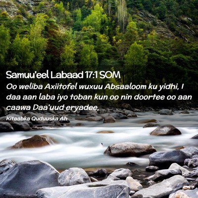 Picture 02 - Samuu'eel Labaad 17:1 SOM - Oo weliba Axiitofel wuxuu Absaaloom ku yidhi, I - Bible Verse Picture