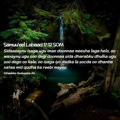 Picture 02 - Samuu'eel Labaad 17:12 SOM - Sidaasaynu isaga ugu iman doonnaa meesha laga - Bible Verse Picture
