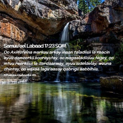 Picture 02 - Samuu'eel Labaad 17:23 SOM - Oo Axiitofelna markuu arkay inaan taladiisii la - Bible Verse Picture