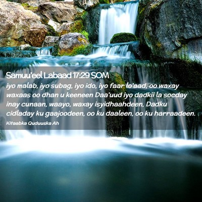 Picture 02 - Samuu'eel Labaad 17:29 SOM - iyo malab, iyo subag, iyo ido, iyo faar lo'aad, - Bible Verse Picture