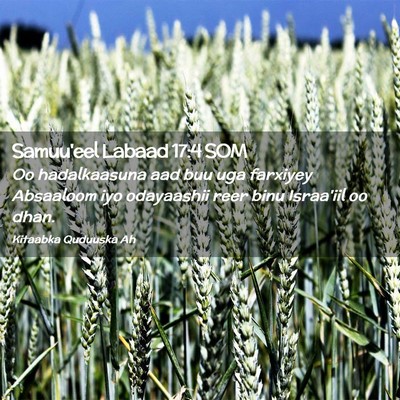 Picture 02 - Samuu'eel Labaad 17:4 SOM - Oo hadalkaasuna aad buu uga farxiyey Absaaloom - Bible Verse Picture