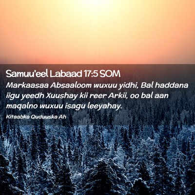 Picture 02 - Samuu'eel Labaad 17:5 SOM - Markaasaa Absaaloom wuxuu yidhi, Bal haddana iigu - Bible Verse Picture