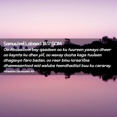 Picture 02 - Samuu'eel Labaad 18:17 SOM - Oo Absaaloom bay qaadeen oo ku tuureen yamays - Bible Verse Picture