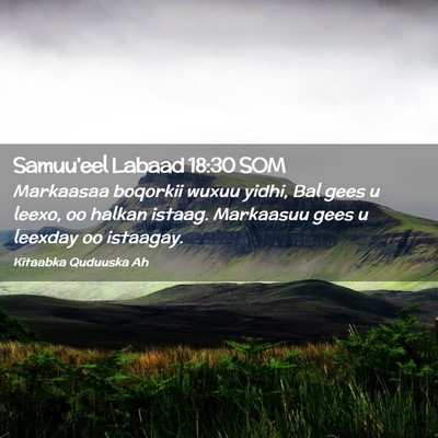 Picture 02 - Samuu'eel Labaad 18:30 SOM - Markaasaa boqorkii wuxuu yidhi, Bal gees u leexo, - Bible Verse Picture