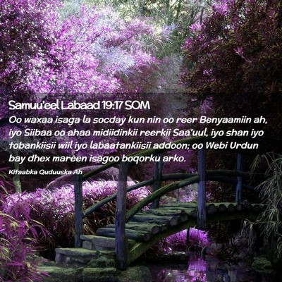 Picture 02 - Samuu'eel Labaad 19:17 SOM - Oo waxaa isaga la socday kun nin oo reer - Bible Verse Picture