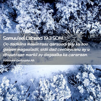Picture 02 - Samuu'eel Labaad 19:3 SOM - Oo dadkiina maalintaas qarsoodi bay ku soo galeen - Bible Verse Picture