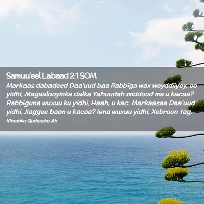 Picture 02 - Samuu'eel Labaad 2:1 SOM - Markaas dabadeed Daa'uud baa Rabbiga wax - Bible Verse Picture